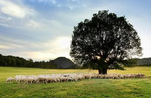 La Borda De Pastores Lägenhetshotell
