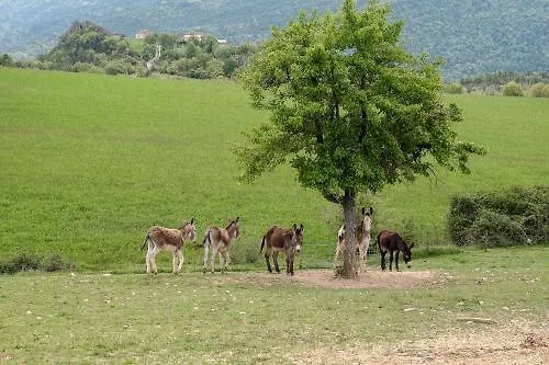 La Borda De Pastores Lägenhetshotell Sabiñánigo
